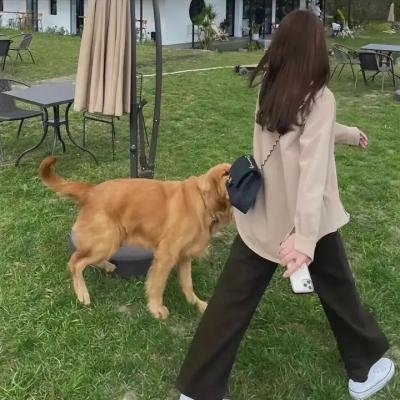 回到藏身处